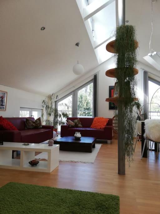 Traumhaftes Loft 70 Qm * Wohlfühlen In * Passau